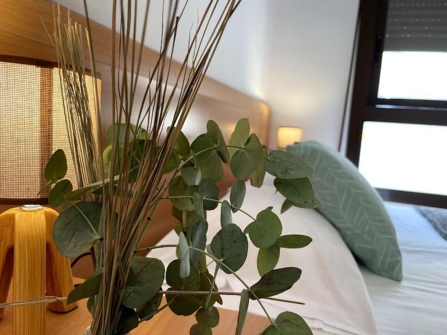 Taima Flats 3 Apartman Alicante Kültér fotó